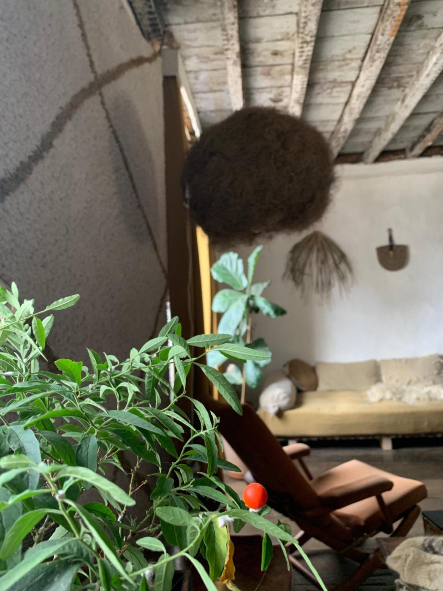 Abury, Tables Et Chambres , Randos Et Bien Etre A La Montagne Barcus Exterior foto